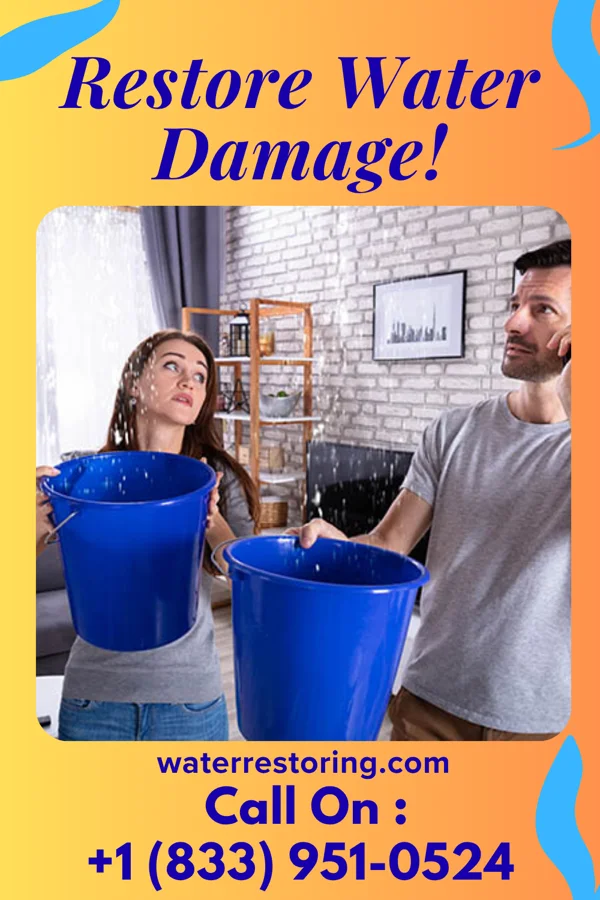 water restoration Apex Flood Damage Pros North Santee