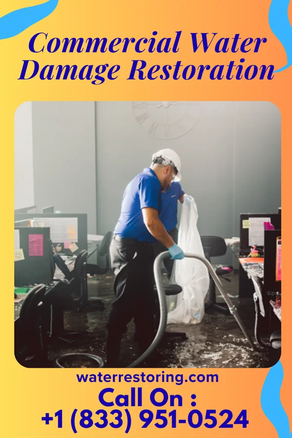 Commercial Water Damage Restoration in North Santee, SC