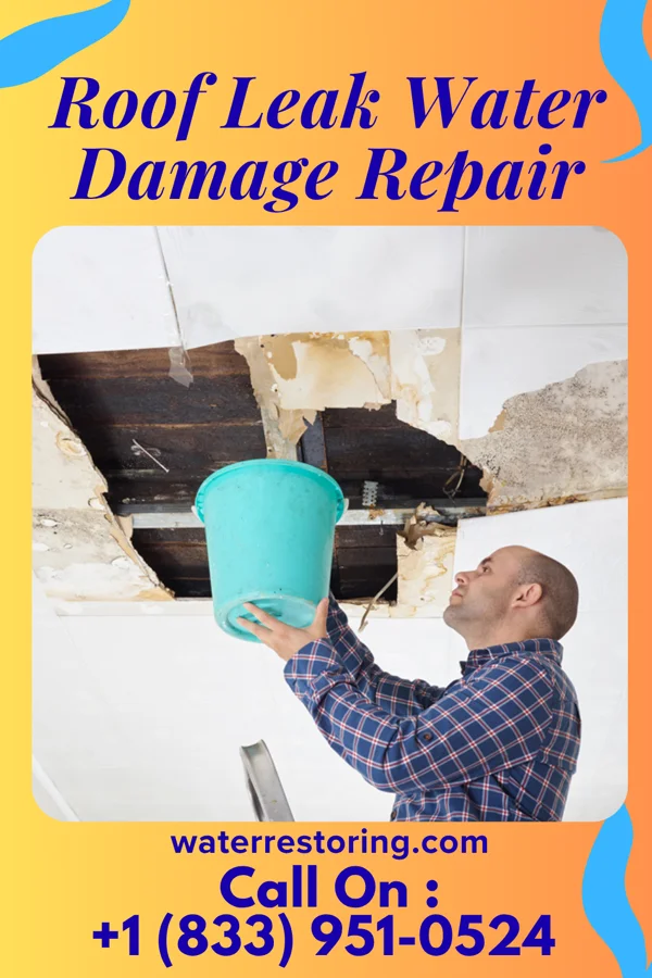 Roof Leak Water Damage Repair in North Santee, SC