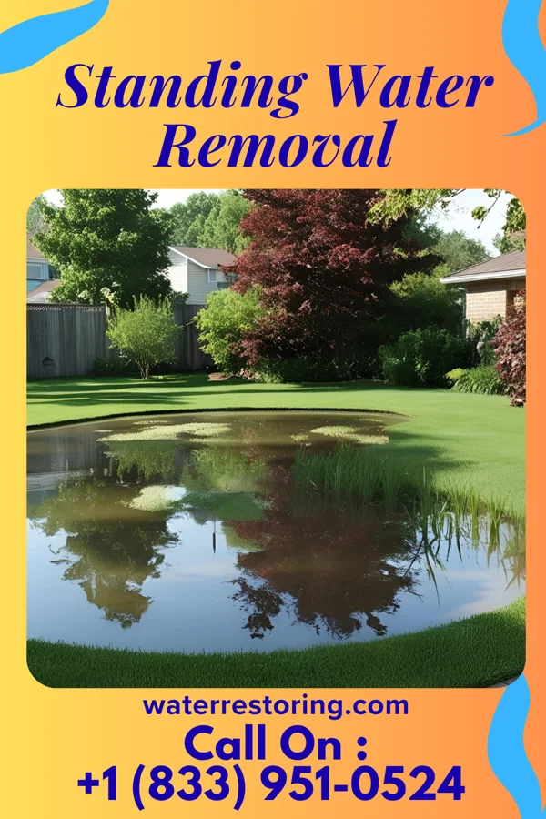 Standing Water Removal in North Santee, SC